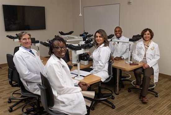 breast pathology faculty