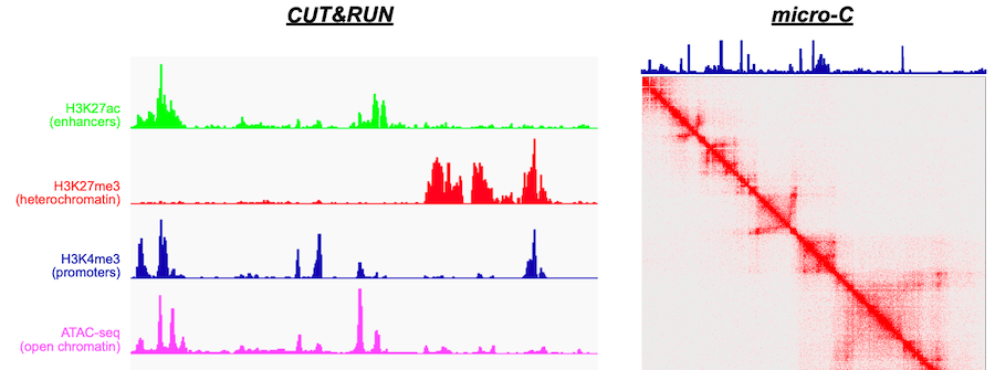 1 of 3, graph