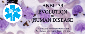 ANBI 139